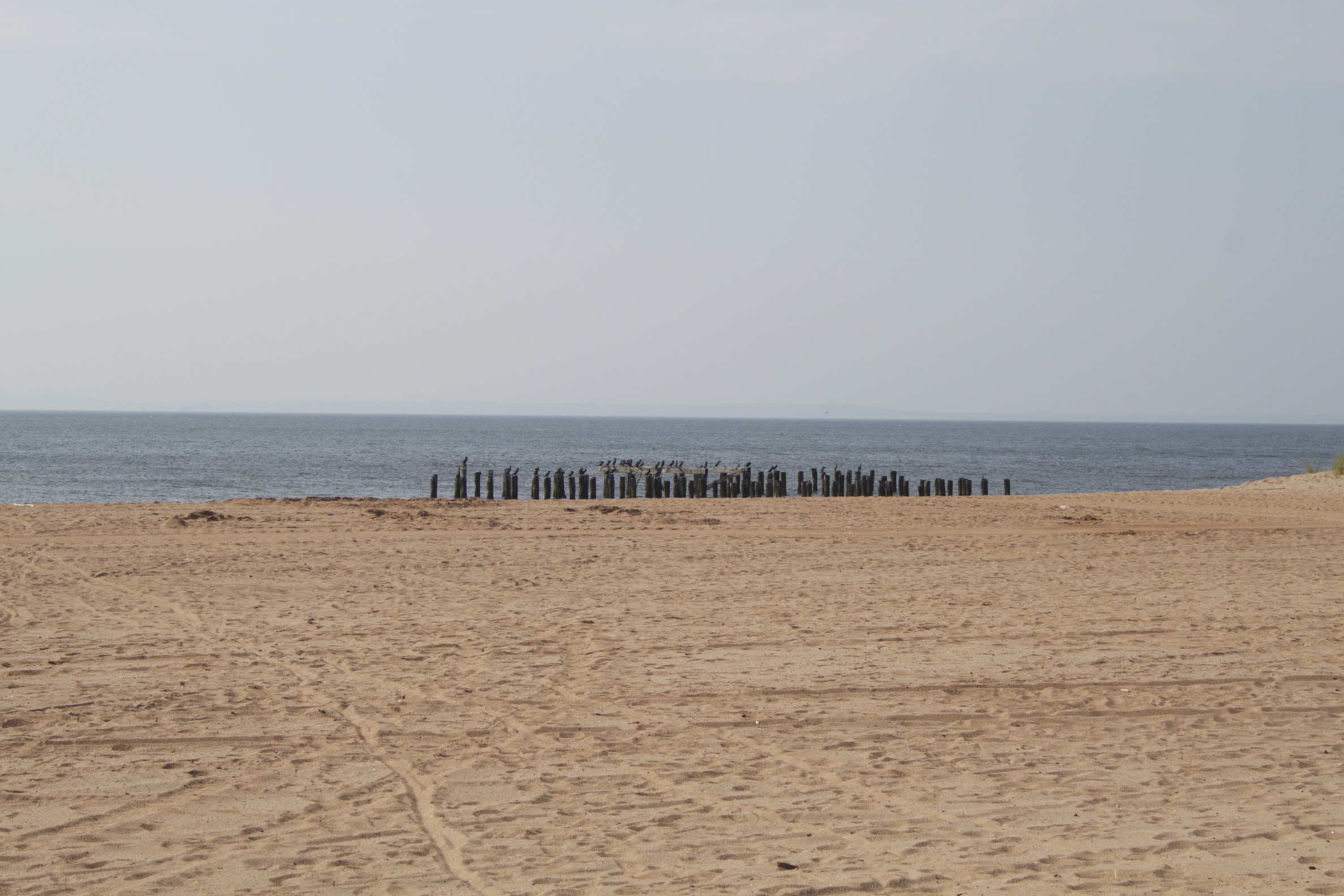 Early morning on the beach